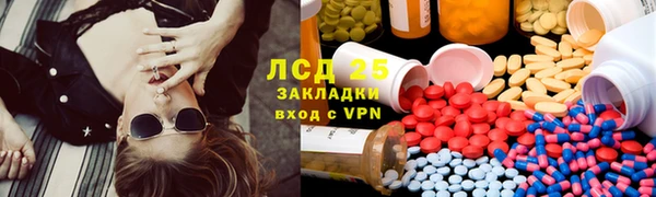гашик Алзамай