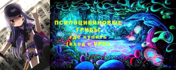 кокс Алексеевка