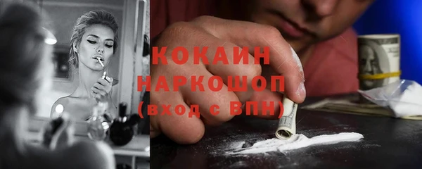гашик Алзамай