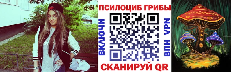 где продают наркотики  Киселёвск  Псилоцибиновые грибы GOLDEN TEACHER 